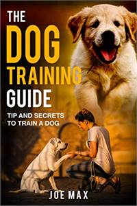 How to train your dog at home