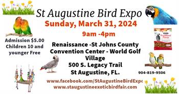 St Augustine Bird Expo